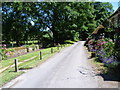 Roadside scene at Ottinge