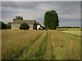 Footpath to Orwell Road