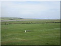 W6143 : Golf course and coastal marsh near Garrylucas by Jonathan Thacker