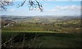 Countryside near South Haylands Farm