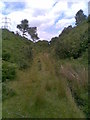 Brecon Railway Cutting