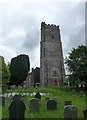 St Michael and All Angels, Marwood: churchyard (11)