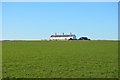 Coastguard Cottages