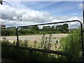 Newcastle-under-Lyme: waste ground behind Sainsbury