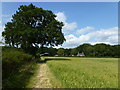 SK9426 : Footpath and farmland near Dumpling Farm, Easton by Richard Humphrey