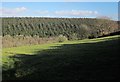 Tamar valley below Latchley