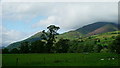 View Towards Dodd