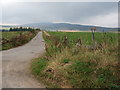 Road to Oldtown of Kincraigie