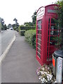 Telephone box on Willowmore Banks in Salt