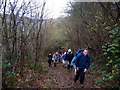 Llwybr Gelliwen  / Gelliwen path