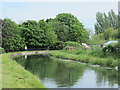 The New River south of Essex Road, EN11 (2)