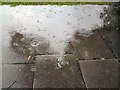 SJ9594 : Raindrops keep falling by Gerald England