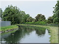 The New River east of Salisbury Road, EN11