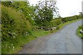 Crossing a small stream on Low Wood Lane, near Lealholm