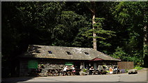 NY2328 : Old Sawmill Tearoom by Peter Trimming