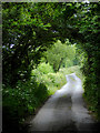 Lane to Welcombe Mouth, Devon