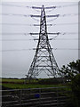 Pylon viewed from Brockfield Lane