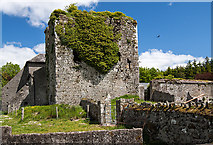 S2546 : Castles of Munster: Coolquill, Tipperary (2) by Mike Searle
