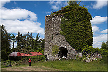 S3144 : Castles of Munster: Lismallin, Tipperary by Mike Searle