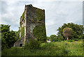 S0035 : Castles of Munster: Suir, Tipperary (1) by Mike Searle