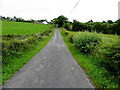 Cloy Road, Carrickagreany