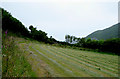 Mowed field near Welcombe Mouth, Devon