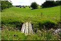 Bridge to Torrance, Glenwhapple