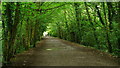 Cycle Route, Keswick