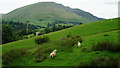 View Towards Blencathra