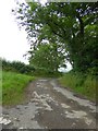 Access road to Lower Whitsleigh farm