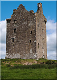 R8341 : Castles of Munster: Oola, Limerick - revisited (2) by Mike Searle