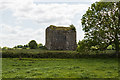 R2842 : Castles of Munster: Ballyegnybeg, Limerick (1) by Mike Searle