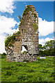 R1894 : Castles of Munster: Ballyshanny, Clare (2) by Mike Searle