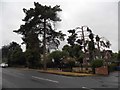 Houses on Lower Marlow Road, Maidenhead