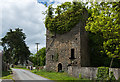 S3266 : Castles of Leinster: Ballycuddihy, Kilkenny (1) by Mike Searle