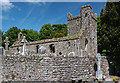 S5945 : Castles of Leinster: Kilfane, Kilkenny (1) by Mike Searle