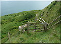 NZ9900 : Gate on the footpath down to the undercliff by Humphrey Bolton