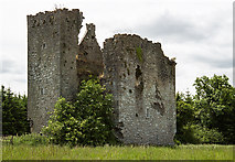 S2470 : Castles of Leinster: Castle Pierce, Kilkenny (2) by Mike Searle
