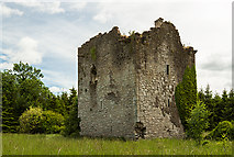 S2470 : Castles of Leinster: Castle Pierce, Kilkenny (4) by Mike Searle