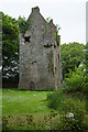 S0180 : Castles of Leinster: Ballinlough, Offaly (2) by Mike Searle