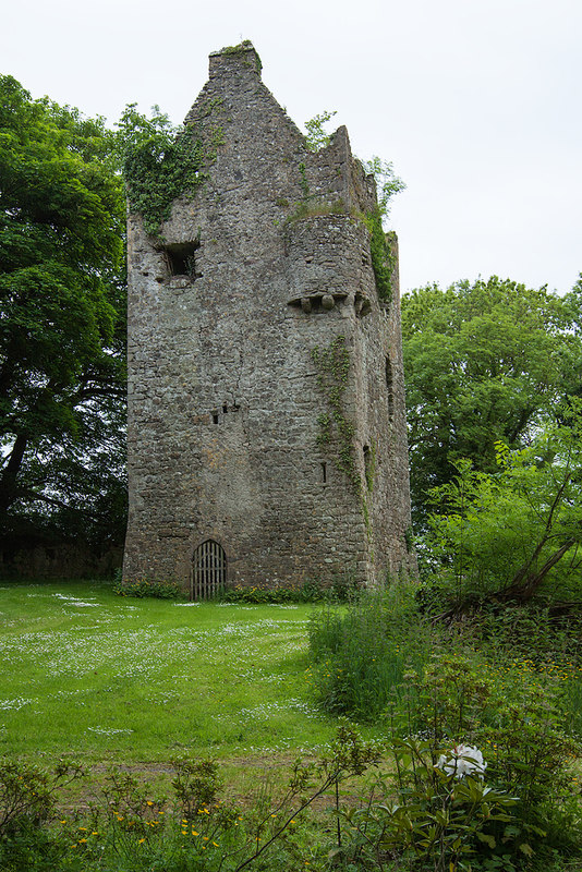 Castles of Leinster: Ballinlough, Offaly... © Mike Searle :: Geograph ...