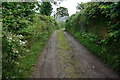 Bridleway approaching Hurston