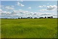 NS6372 : Farmland, Meiklehill by Robert Murray
