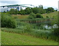 Small lake next to the Stanley Matthews Way