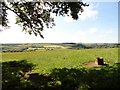 View south from Hollinside over the Browney valley