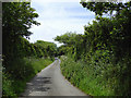 Lane to Elmscott, Devon