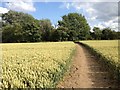 Footpath towards the Brampton Valley Way