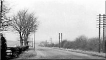 TL2140 : Great North Road, south of Biggleswade, 1956 by Ben Brooksbank