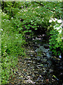 Stream in woodland east of South Hole, Devon