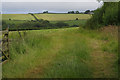 Farmland near Llanon